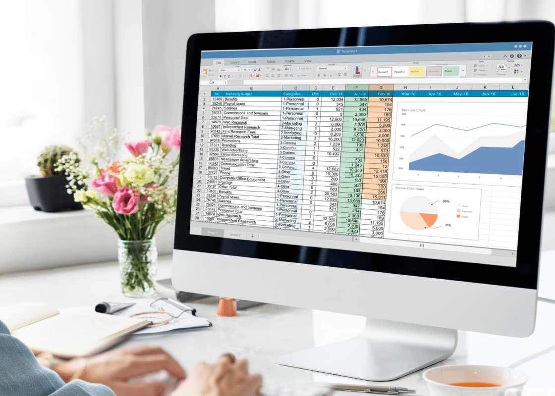 screen with financial and accounting services software